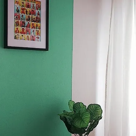 Solo Azores Bed & Breakfast Nordeste (Azores)
