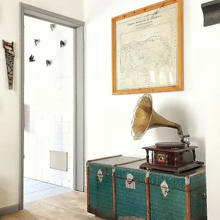 Solo Azores Nordeste (Azores)