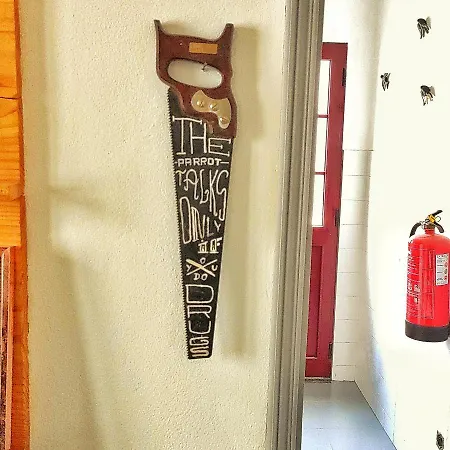 Solo Azores 诺德什蒂