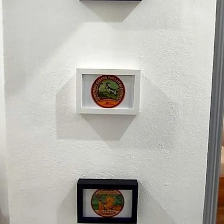 Solo Azores 3*